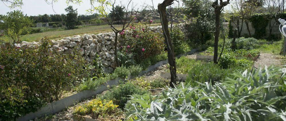 Masseria La Meridiana Altamura Eksteriør billede